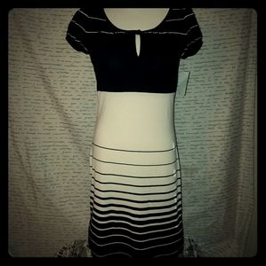 Laundry by Shelli Segal dress